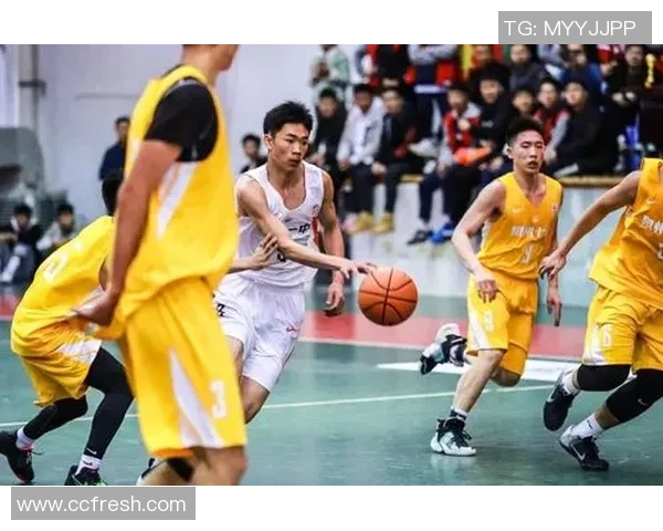 北京篮球队速度之争引发热议球迷观点各异引发关注