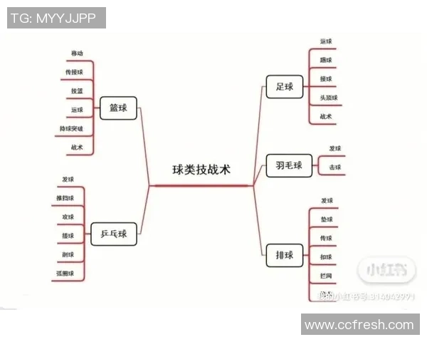 北京足球队快攻战术解析与比赛表现分析