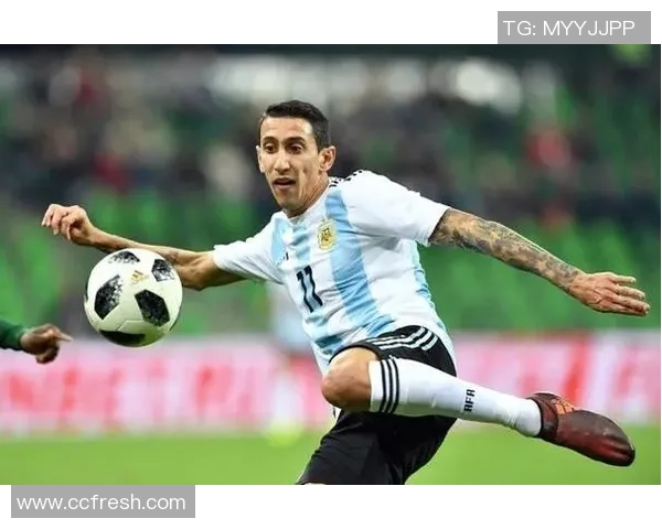 足球明星南拉卡的传奇之路与辉煌成就全景回顾