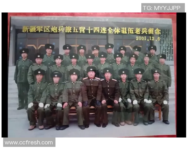 重庆排球队的崛起之路精英赛背后的奋斗与成长故事