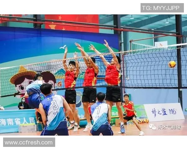 杨秀英深度解析排球技巧与心得分享助你提升竞技水平 杨秀英深度解析排球技巧与心得分享助你提升竞技水平