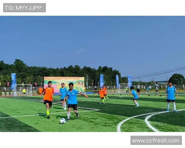 谷里足球：探索乡村足球的魅力与发展潜力，助力青少年成长与社区团结