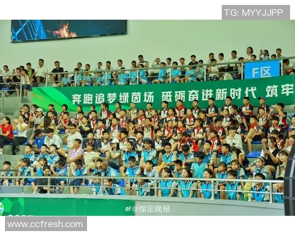 足球弹点燃激情与梦想的火焰让青春在绿茵场上绽放光彩