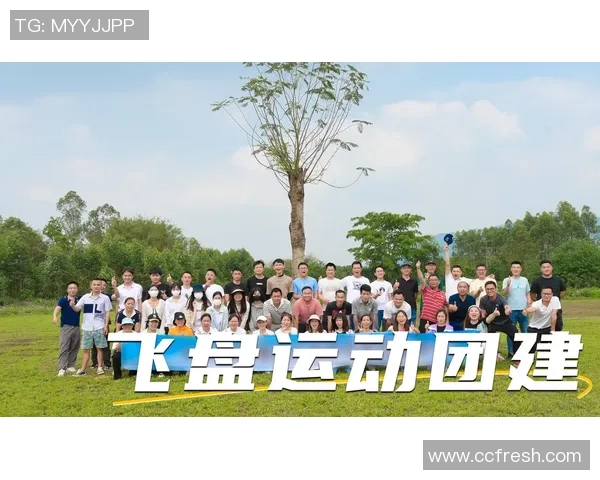 飞盘盛宴:深入武汉飞盘队探寻团队力量与激情的秘密 飞盘盛宴:深入武汉飞盘队探寻团队力量与激情的秘密