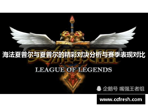 海法夏普尔与夏普尔的精彩对决分析与赛季表现对比